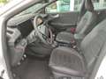 Ford Puma 1,0 EcoBoost Hybrid ST-Line X Weiß - thumbnail 9