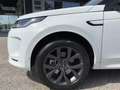 Land Rover Discovery Sport P300e PHEV AWD R-Dynamic SE Weiß - thumbnail 6