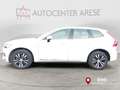 Volvo XC60 T6 Recharge Plug-in Hybrid AWD Ins Express TETTO Weiß - thumbnail 2