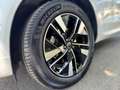 Volvo XC60 B5 Mild Hyb. Plus Dark ACC+LED+Navi+SHZ+360 Weiß - thumbnail 6