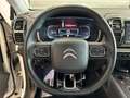 Citroen C5 Aircross bluehdi Shine s&s Bianco - thumbnail 9