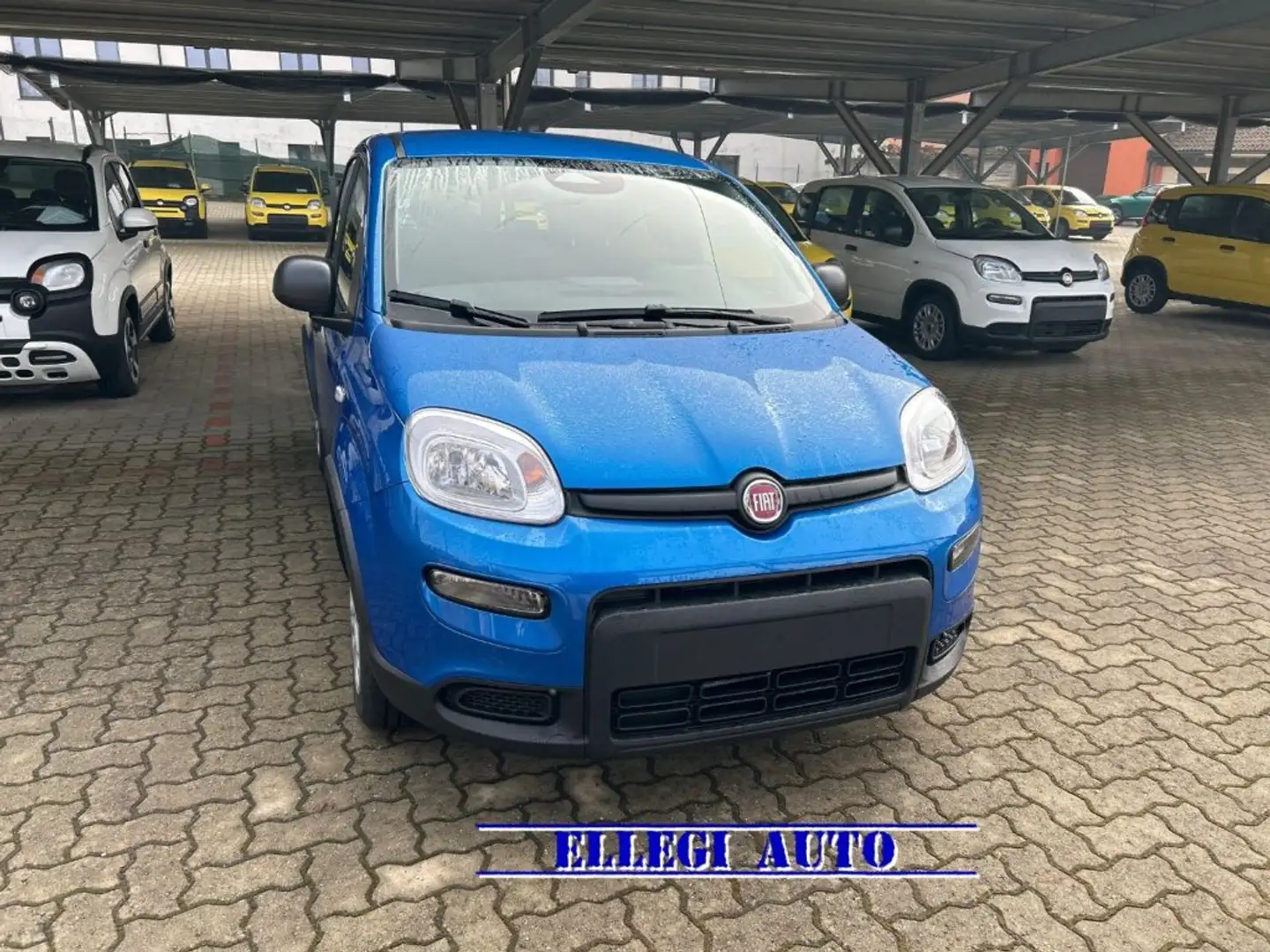 Fiat Panda 1.0  Hybrid RADIO FRONTALINO E SENSORI KM  0 Blu/Azzurro - 1
