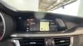 Alfa Romeo Stelvio 2.2 TD 210cv AT8 Q4 Veloce #TETTO #VARI COLORI Grigio - thumbnail 13