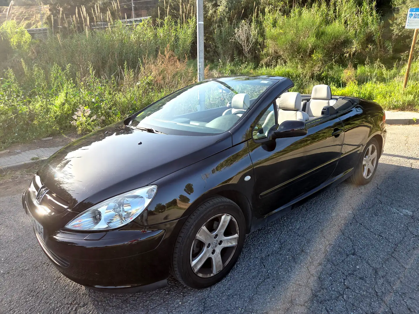 Peugeot 307 307 CC 2.0 Negro - 1