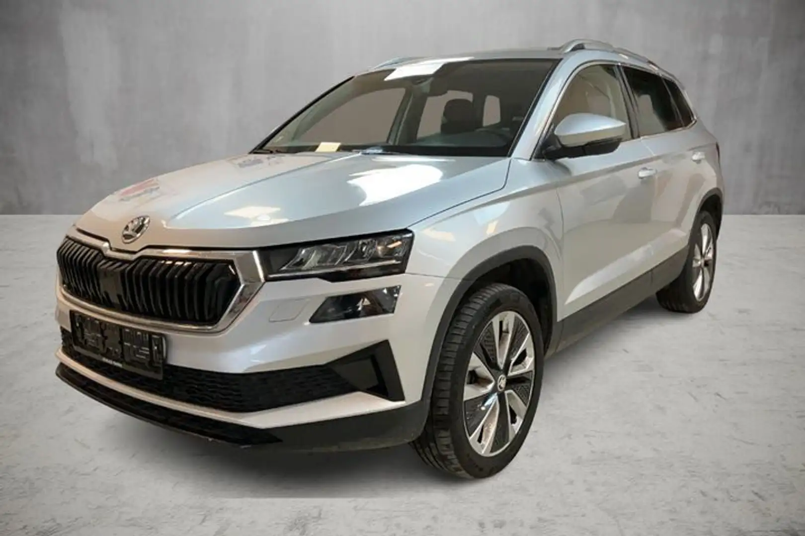 Skoda Karoq Selection DSG Carplay Silber - 2