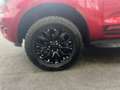 Ford Ranger Ranger Doppelkabine STORMTRAK LIMITED EDITION 4... Rot - thumbnail 25