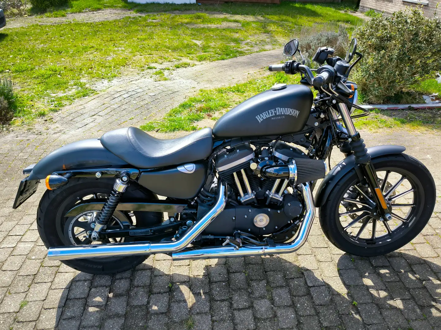 Harley-Davidson Iron 883 Negro - 1