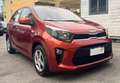 Kia Picanto Picanto 1.0 12V 5 porte Urban Rouge - thumbnail 3