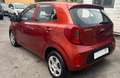 Kia Picanto Picanto 1.0 12V 5 porte Urban Rouge - thumbnail 6