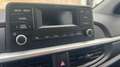 Kia Picanto Picanto 1.0 12V 5 porte Urban Rouge - thumbnail 14