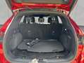 Ford Kuga 1.5 EcoBoost ST-LINE X PANO+AHK+SHZ+NAVI Rosso - thumbnail 6