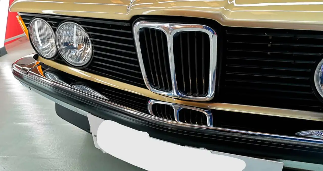 BMW 318, foto 2