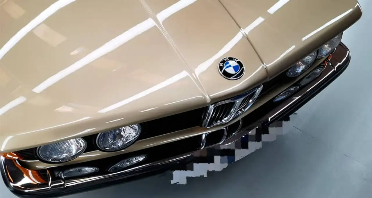 BMW 318, foto 1