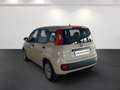 Fiat Panda III 2012 1.2 Easy 69cv E6 Beige - thumbnail 18