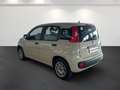 Fiat Panda III 2012 1.2 Easy 69cv E6 Beige - thumbnail 6