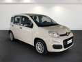 Fiat Panda III 2012 1.2 Easy 69cv E6 Beige - thumbnail 3