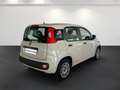 Fiat Panda III 2012 1.2 Easy 69cv E6 Beige - thumbnail 4