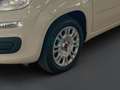 Fiat Panda III 2012 1.2 Easy 69cv E6 Beige - thumbnail 15