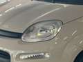 Fiat Panda III 2012 1.2 Easy 69cv E6 Beige - thumbnail 14