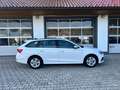 Skoda Octavia Ambition 2,0 TDI *AHV*DIGITAL*PDC*APP*NAVI* Weiß - thumbnail 26