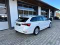 Skoda Octavia Ambition 2,0 TDI *AHV*DIGITAL*PDC*APP*NAVI* Weiß - thumbnail 25