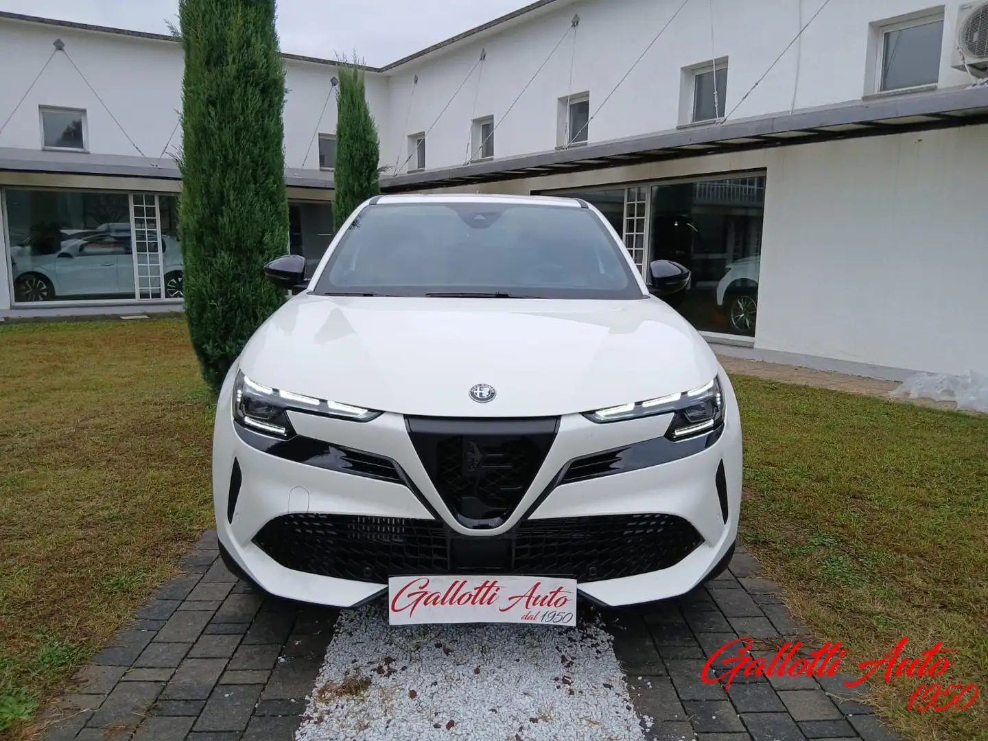 Alfa Romeo Junior 1.2 136 CV Hybrid eDCT6 Speciale Bianco - 2