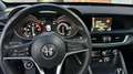 Alfa Romeo Stelvio Stelvio 2.2 t Business rwd 160cv auto AUTOCARRO N1 Blu/Azzurro - thumbnail 13