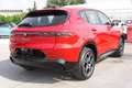 Alfa Romeo Tonale 1.6 130cv Sprint NUOVO KM 0 - PACK WINTER & TECHNO Rosso - thumbnail 8