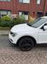 Volkswagen Tiguan Tiguan 1.5 TSI CL Bns Wit - thumbnail 3