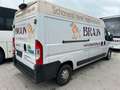 Fiat Ducato Groß-Lang Motor klackert Blanc - thumbnail 4