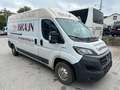 Fiat Ducato Groß-Lang Motor klackert Blanc - thumbnail 1