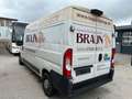 Fiat Ducato Groß-Lang Motor klackert Blanc - thumbnail 3