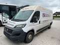 Fiat Ducato Groß-Lang Motor klackert Blanc - thumbnail 2