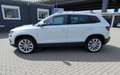 Skoda Karoq 2.0 TDI "Style" 4x4 #STDHZG #PANO #AHK Weiß - thumbnail 3