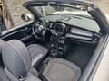 MINI Cooper D Cabrio Mini Cabriolet 1.5 D Cooper (EU6c) Білий - thumbnail 15