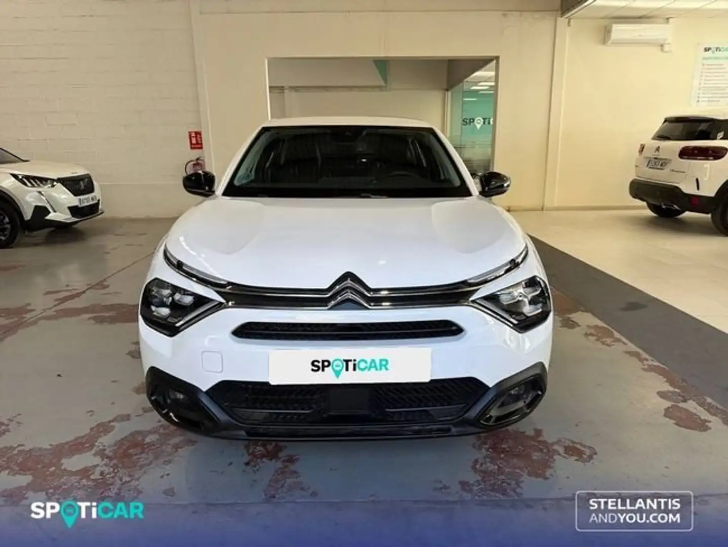 Citroen C4 1.5 BlueHDI S&S Plus EAT8 130 Blanco - 2