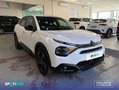 Citroen C4 1.5 BlueHDI S&S Plus EAT8 130 Blanco - thumbnail 3