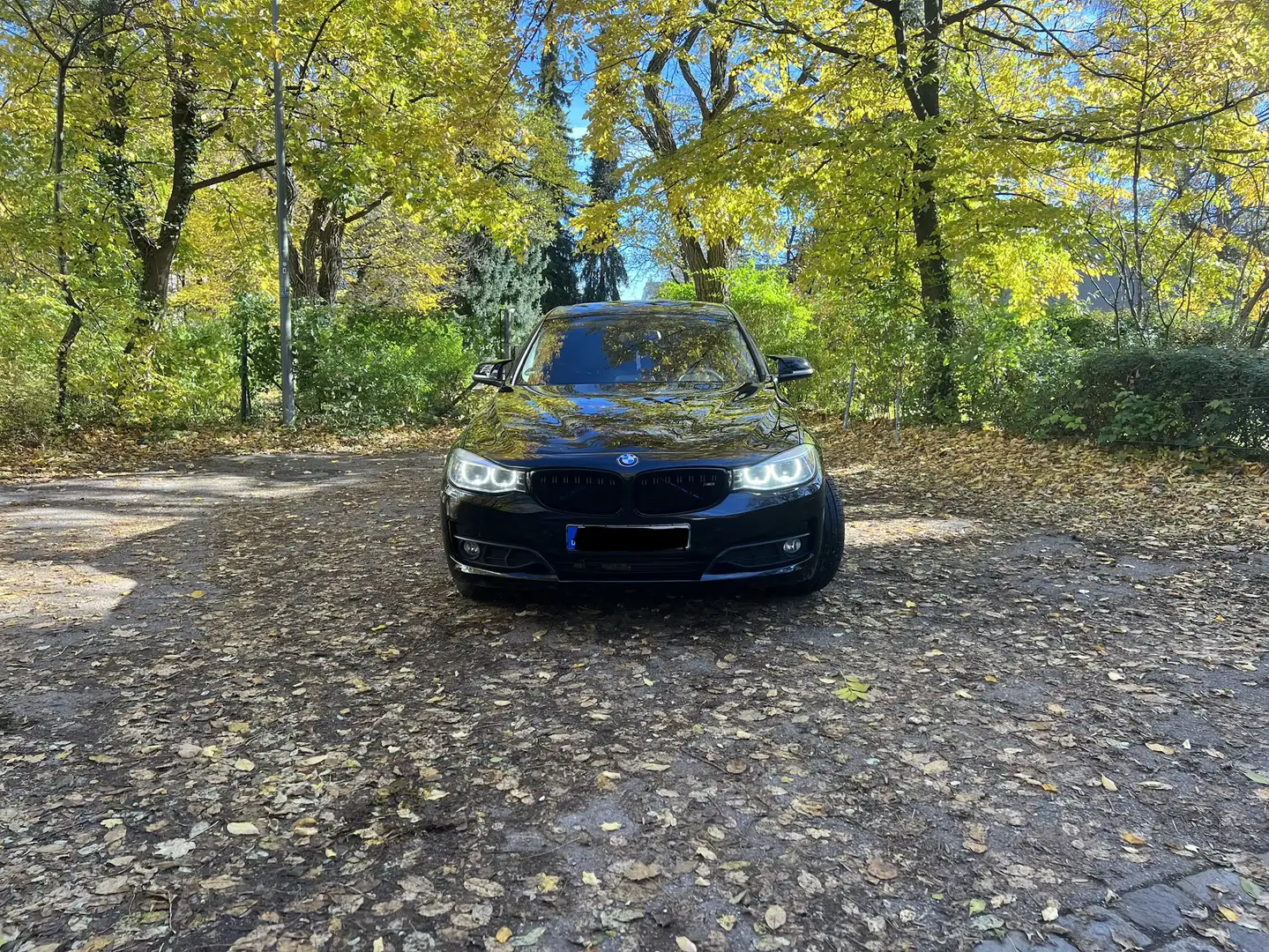 BMW 318 BMW 318d Gran Turismo (F34) | 2.0 Diesel Schwarz - 2