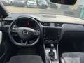 Skoda Octavia Combi RS 2,0 TDI 4x4 DSG Blauw - thumbnail 14