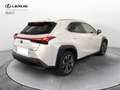 Lexus UX 200 300e Luxury Bianco - thumbnail 4