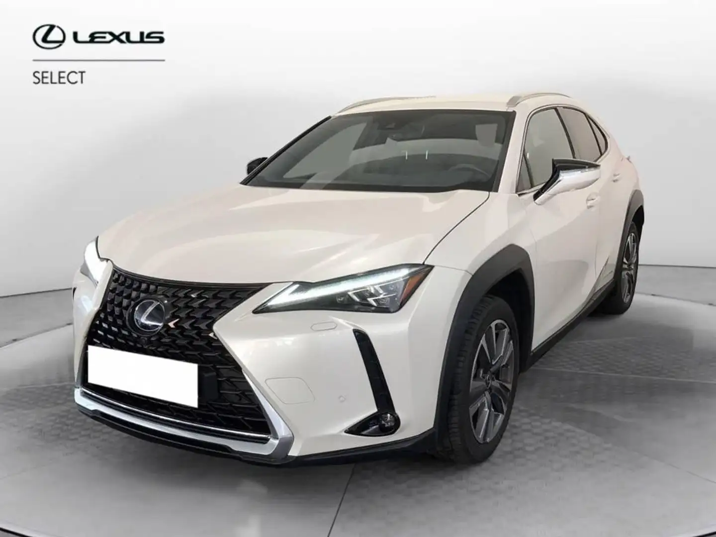 Lexus UX 200 300e Luxury Bianco - 1