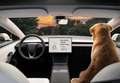 Tesla Model 3 Premium Long Range AWD - thumbnail 10