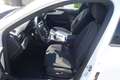 Audi A4 Avant40TFSI quattro S-tronic*AHK/Kamera/Virtual C* Weiß - thumbnail 13