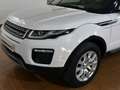 Land Rover Range Rover Evoque 2.0L eD4 Diesel 110kW (150CV) 4x2 SE Weiß - thumbnail 8
