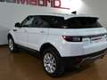 Land Rover Range Rover Evoque 2.0L eD4 Diesel 110kW (150CV) 4x2 SE Weiß - thumbnail 7