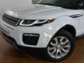 Land Rover Range Rover Evoque 2.0L eD4 Diesel 110kW (150CV) 4x2 SE Weiß - thumbnail 9