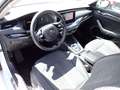Skoda Octavia Combi 1.5 eTSI DSG Style*Navi*ACC*LED* Weiß - thumbnail 4