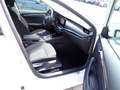 Skoda Octavia Combi 1.5 eTSI DSG Style*Navi*ACC*LED* Weiß - thumbnail 12