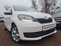 Skoda Citigo CLEVER Green tec *T-LEDER/KLIMA/SHZ/PDC/LMF/LED- Weiß - thumbnail 17