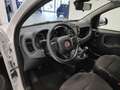 Fiat Panda 1.0 FireFly S&S Hybrid*9.000 KM* Bianco - thumbnail 29
